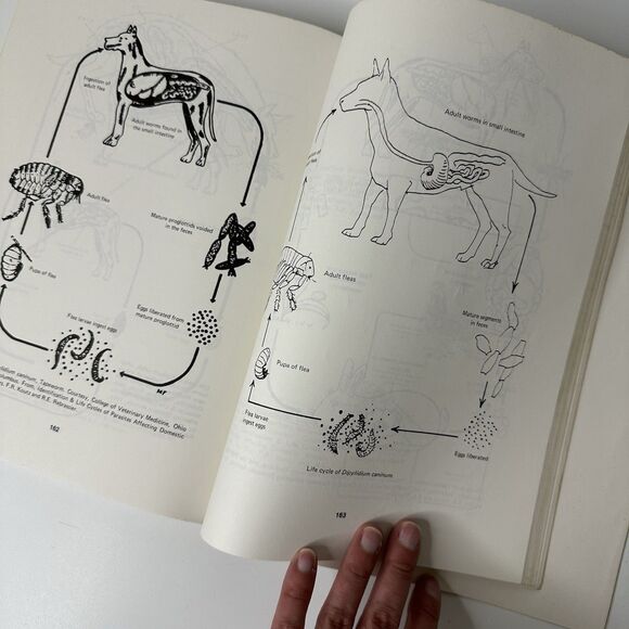 Vtg Animal Sanitation & Disease Prevention Book Manual 2nd Ed Farm Homestead - Picture 9 of 15